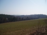 Olympus Camedia C-470 Zoom: Americký D-590