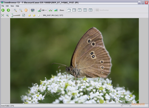 Canon EOS 500D: povedený pokračovatel rodu