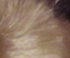 Canon PowerShot SX120 IS: zraje jako víno