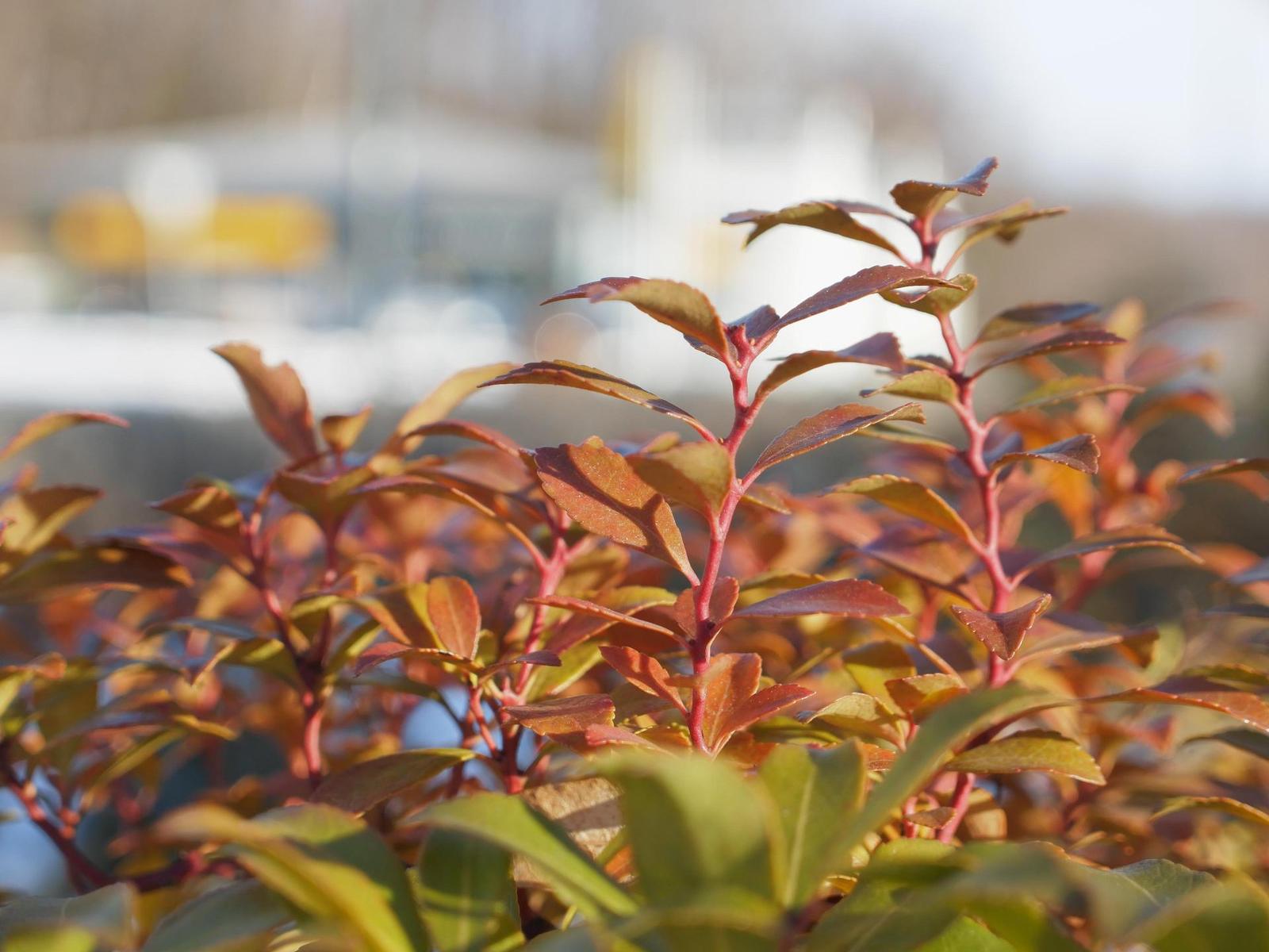 Xiaoyi 12-40mm 1:3.5-5.6