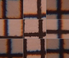 Olympus M.Zuiko Digital 14-150 mm F4-5,6