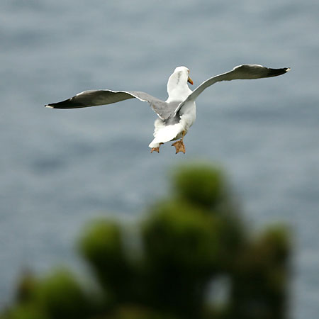 Kouzlo dlouhé expozice