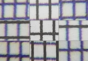 Nikon Coolpix B700: přírodovědec