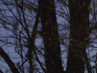 Nokia N9: nástupce fotomobilové legendy?