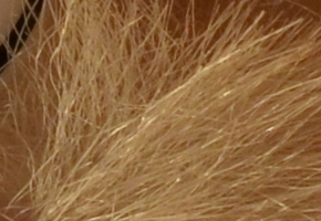 Nikon Coolpix A: velmi příjemná (ne)výraznost