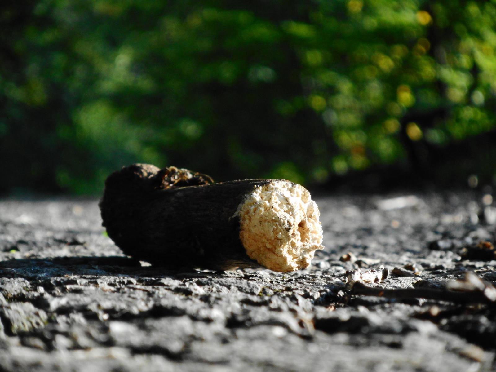 Nikon Coolpix A300: makrodrobek