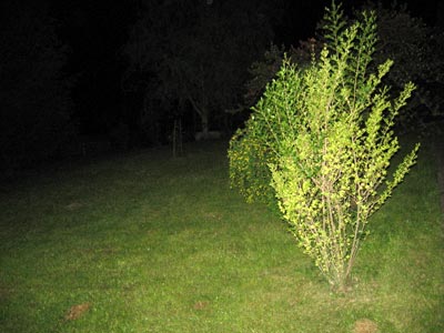 Tipy a triky nejen pro začátečníky, díl 11. - Prověření fotoaparátu po nákupu II.