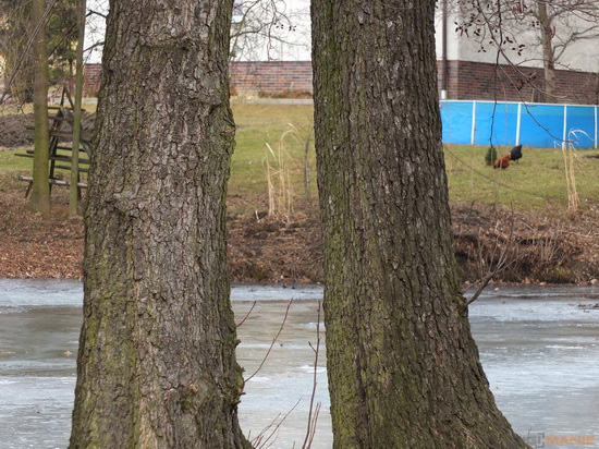 Fujifilm X-S1: jedinečný