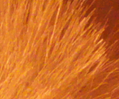 Fujifilm FinePix HS10: ultrazoom roku?