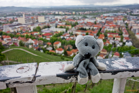 Koala cestuje: Slovinsko 1. díl (Maribor a Lublaň)