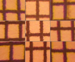 Fujifilm FinePix HS10: ultrazoom roku?