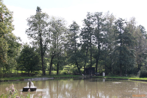 Canon EOS 550D: třídní premiant