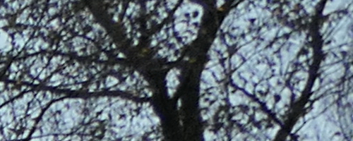 Panasonic Lumix TZ200: kamarád na cesty