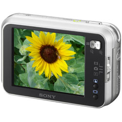 Sony Cyber-shot DSC-N1: Memory Stick (PRO) Duo na vzestupu