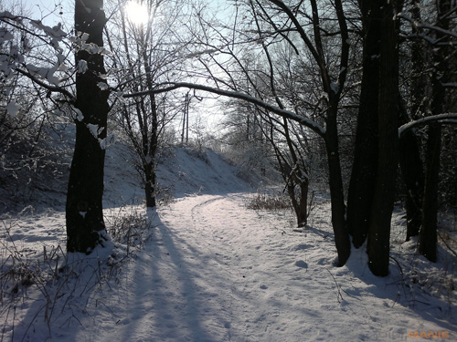 Nokia C7: pro fotící manažery