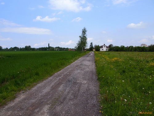 Olympus M.Zuiko Digital 14-150 mm F4-5,6