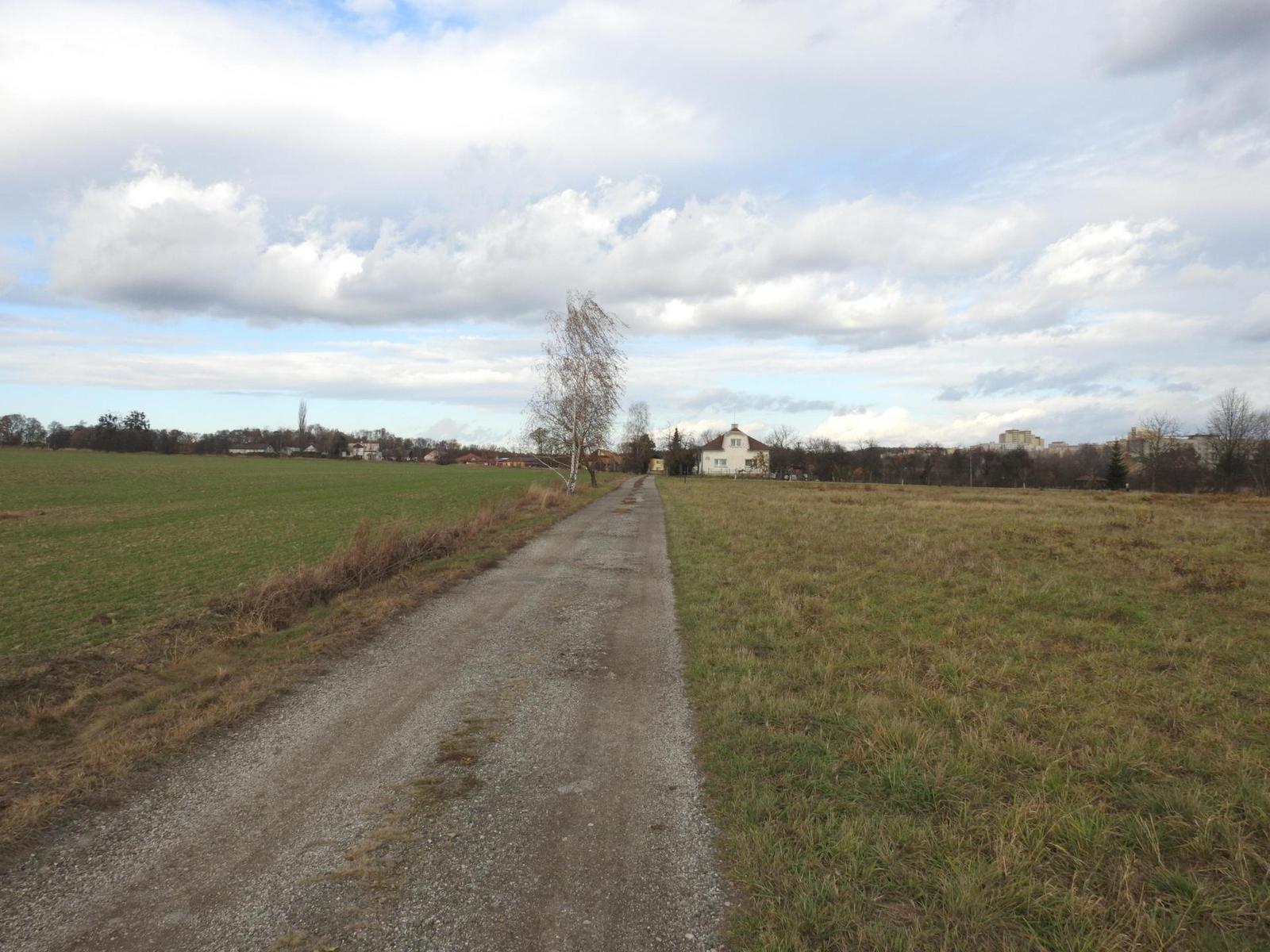 Nikon Coolpix P900: paparazzi