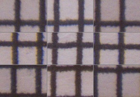 Canon PowerShot SX50 HS: překvapivá kombinace