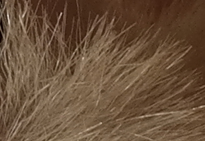 Samsung NX300: spousta kroků vpřed, jeden vzad