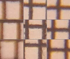 Nikon Coolpix P500: univerzální dalekohled