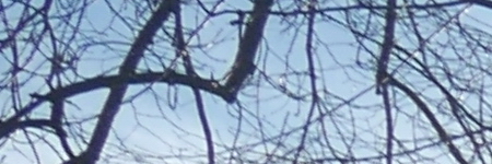 Panasonic Lumix G Vario 12-32mm f/3.5-5.6 ASPH. / MEGA O.I.S.