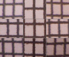 Panasonic Lumix LX7: kompaktní hvězda noci