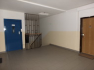 Fujifilm X-S1: jedinečný