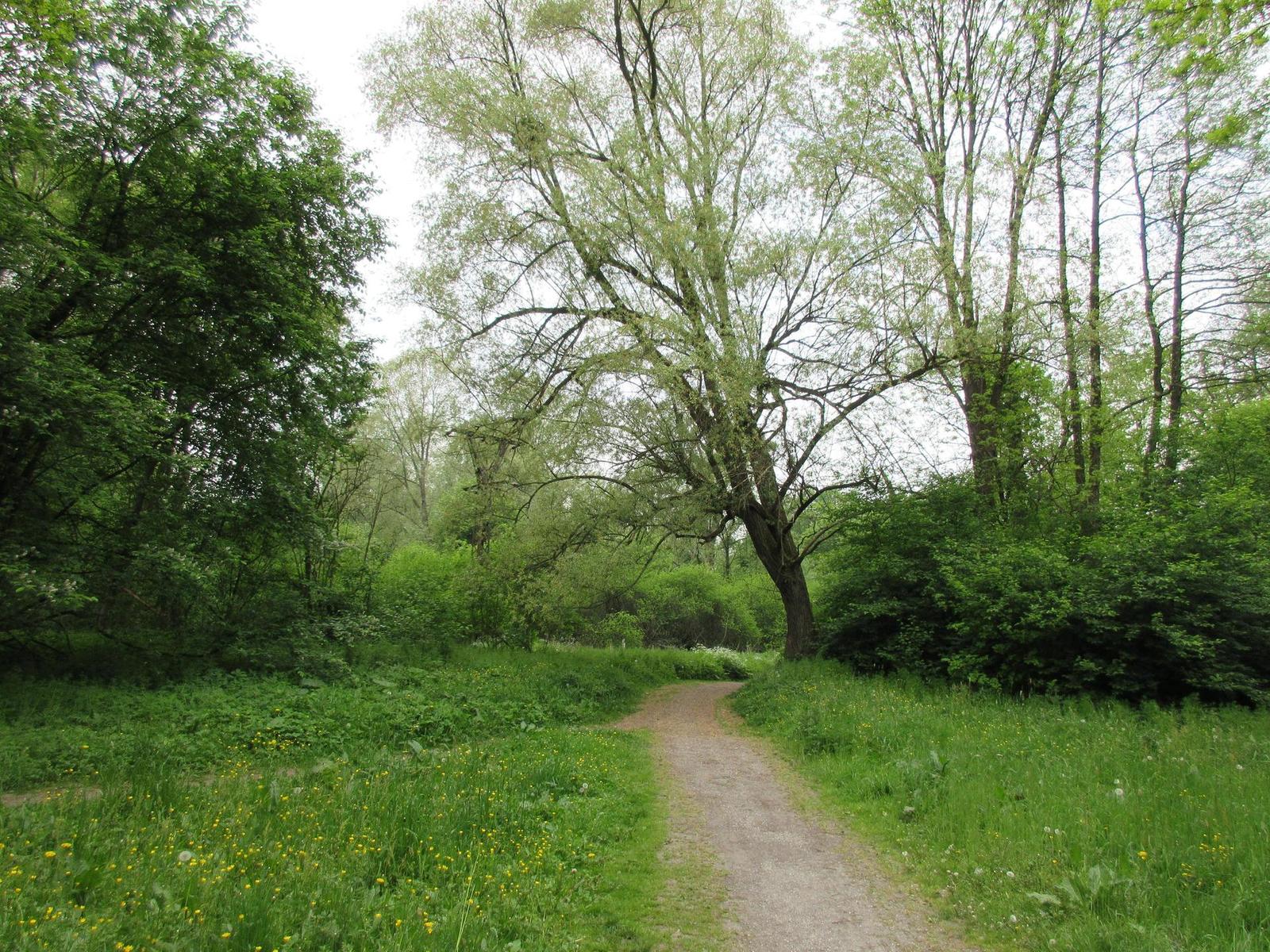 Canon IXUS 285 HS: kamarád do kabelky