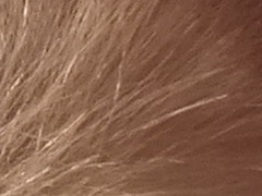 Fujifilm FinePix HS20EXR: důstojný nástupce