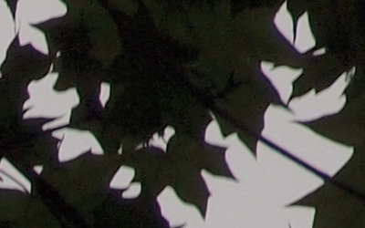 Olympus M.Zuiko Digital 40-150 mm F4-5,6 + nová R verze