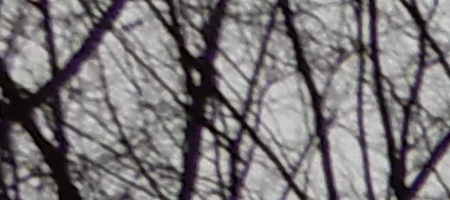 Nikon Coolpix A900: 4K do kapsy