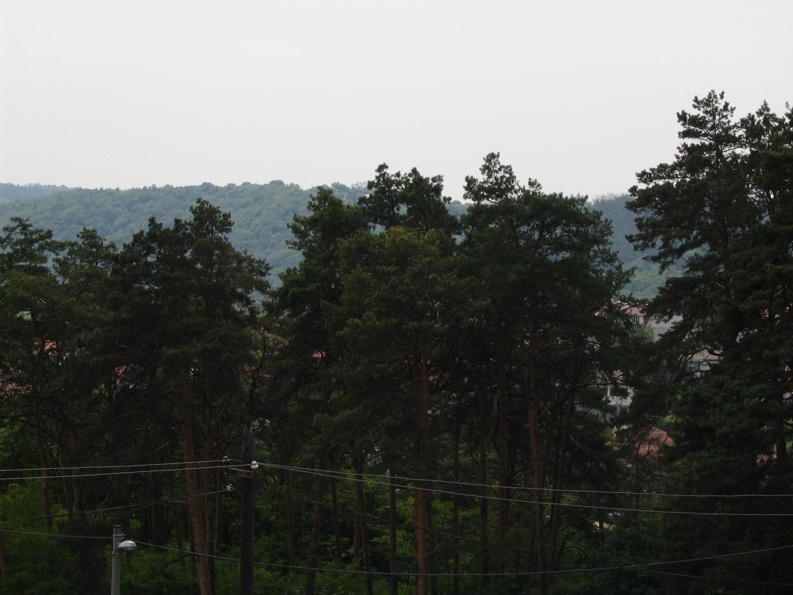 Canon PowerShot A75: S manuálem na věčné časy a nikdy jinak