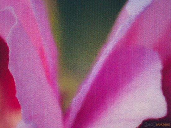 Epson L800: Fotky téměř "zadarmo"