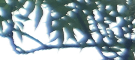 Jupiter-9 85mm F2.0 (M39)