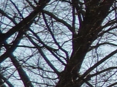 Samsung ST550: jedno LCD nestačí