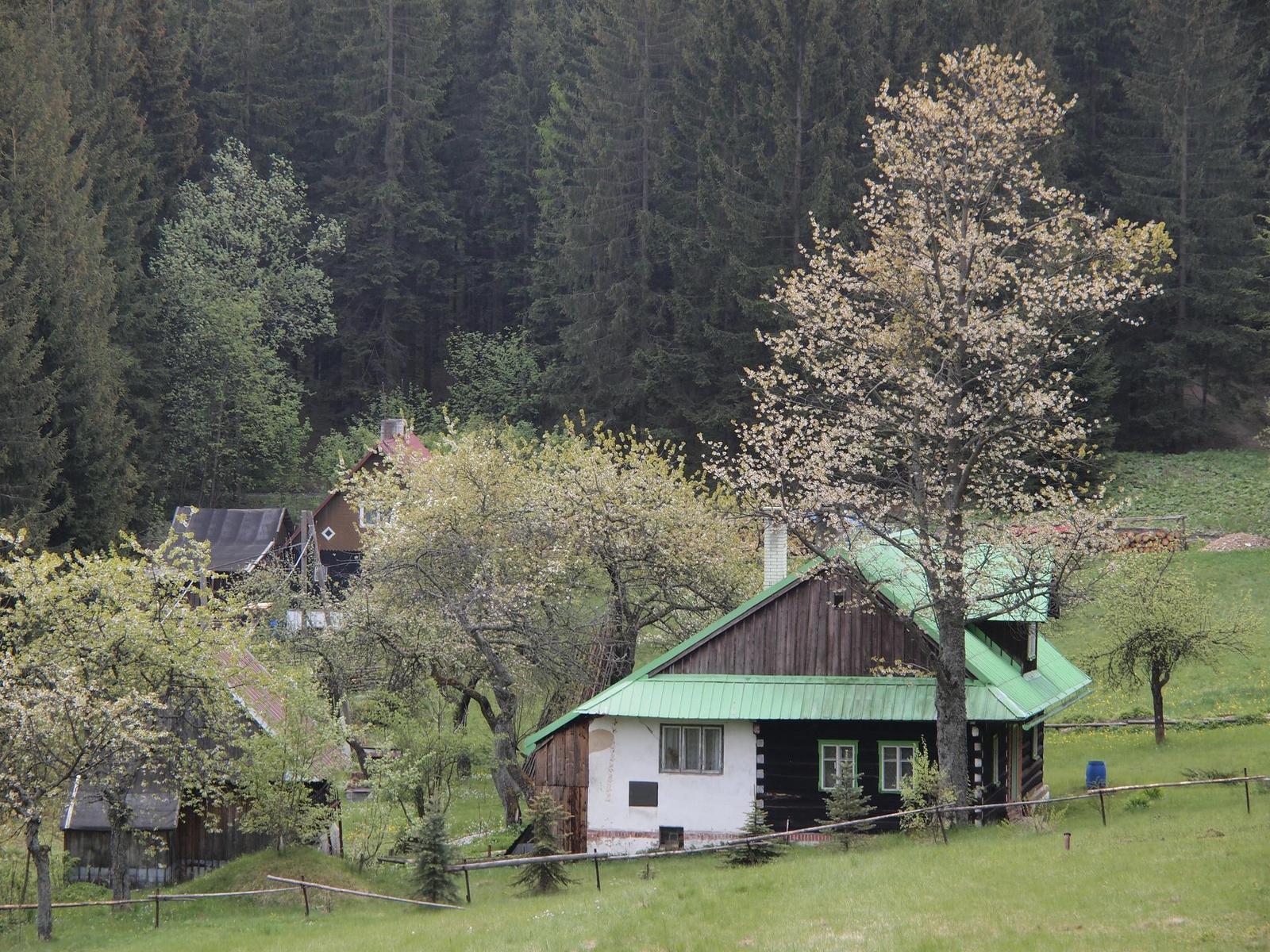 Olympus PEN E-PL2: PEN počtvrté a zase lépe