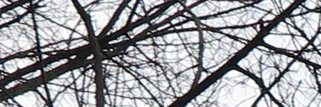 Canon PowerShot G1 X Mark II: významné zlepšení