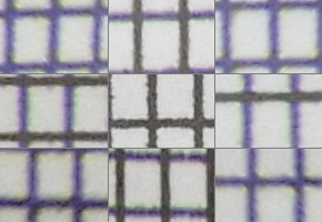 Nikon Coolpix B700: přírodovědec