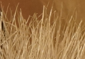 Sony NEX-7: správná (r)evoluce