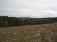 Casio Exilim Card EX-S600: Asijský plátek na fotografický způsob