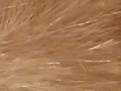 Olympus XZ-1: trefa do černého