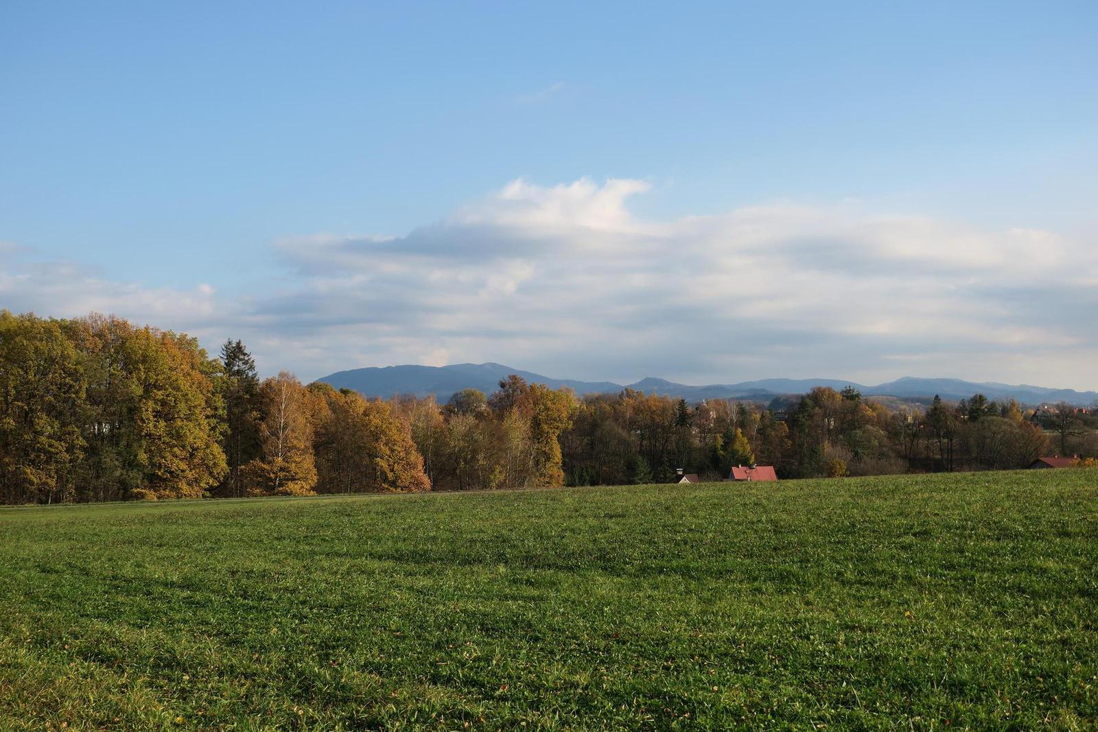 Canon PowerShot G3 X: spousta zoomu v malém těle