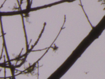 Fujifilm FinePix HS10: ultrazoom roku?