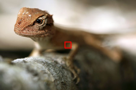 DSLR na cestě časem - 4. díl