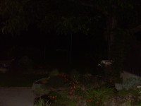 Acer CP-8660: zajímavý rebrand