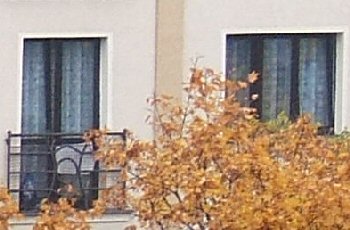 FinePix F810: použitelných 12 milionů a málo šumu