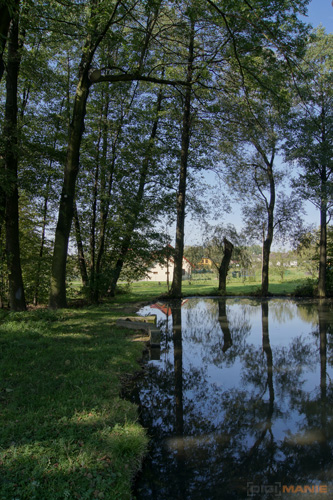 Sony SLT-A33: přesvědčivý revolucionář