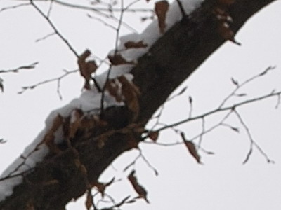 Dva objektivy nebo jeden ultrazoom?