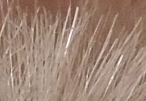 Nikon Coolpix P510: lovec rekordů