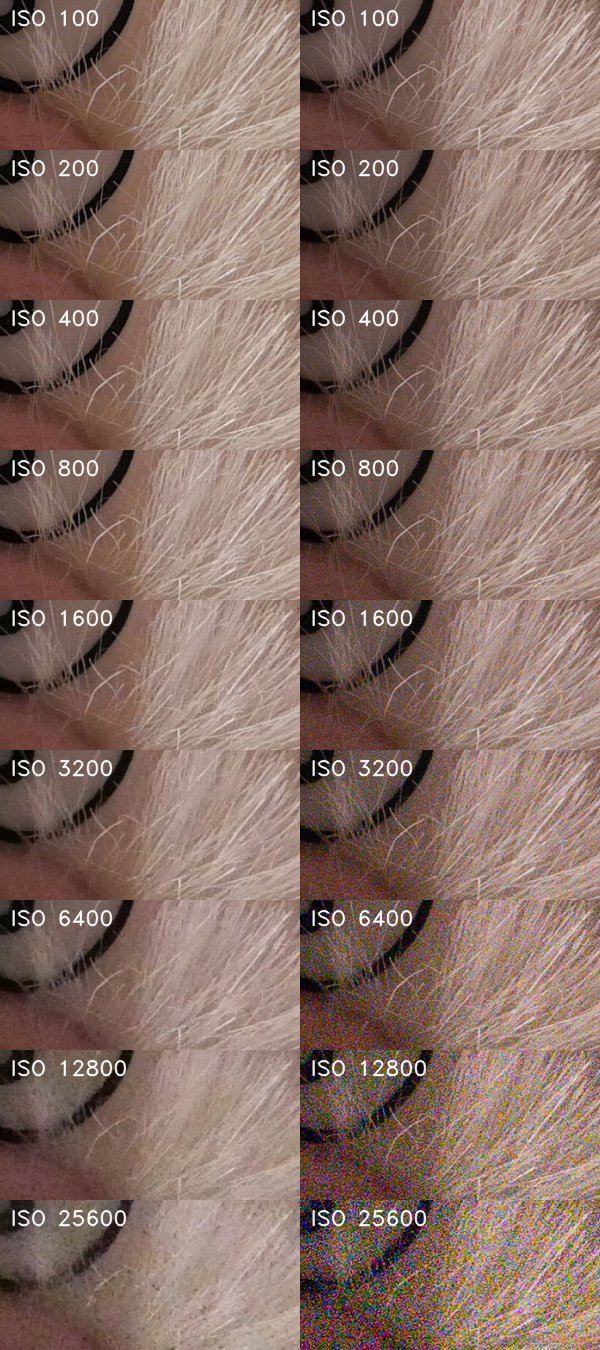 Panasonic Lumix LX100 II: postřehy z praxe